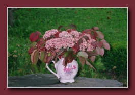 Kliknite za pove�avo slike